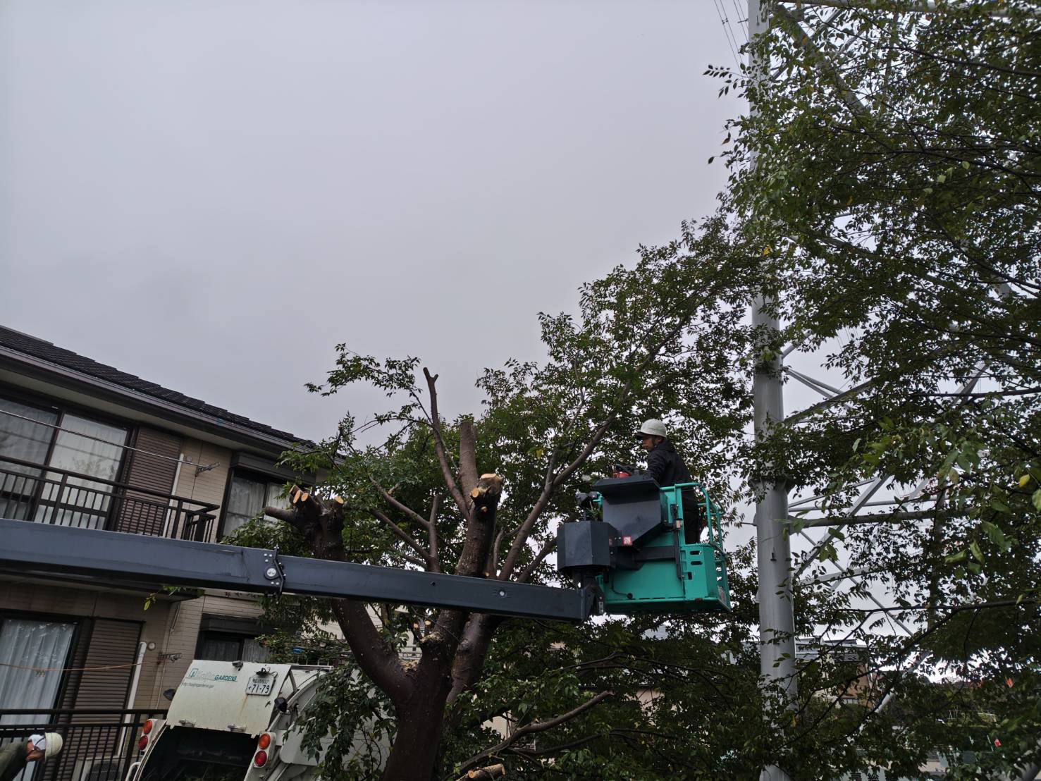 千葉市　高木　伐採 - After