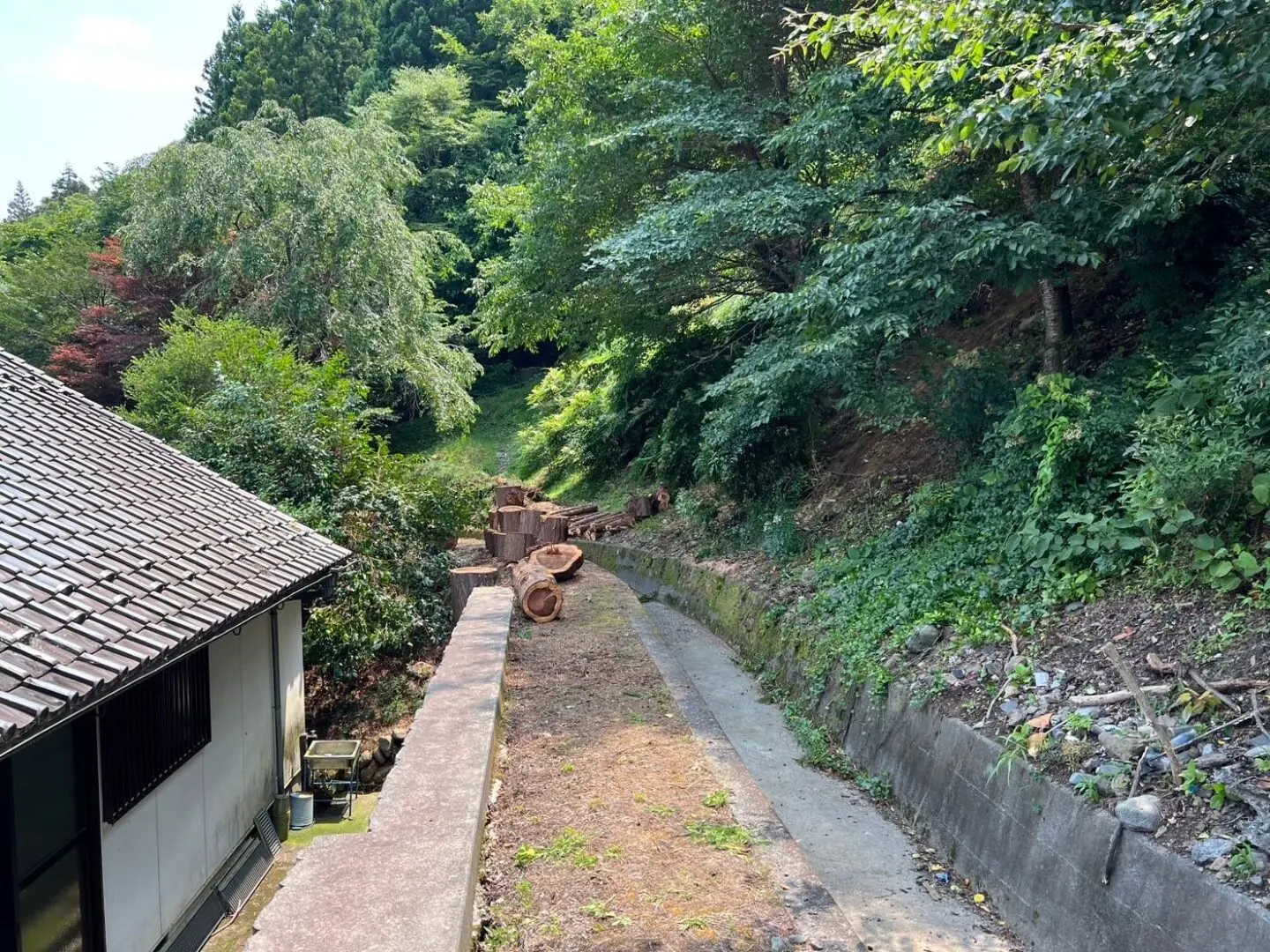 千葉市 大木 伐採 (屋根に寄りかかる支障木の伐採工事) - After